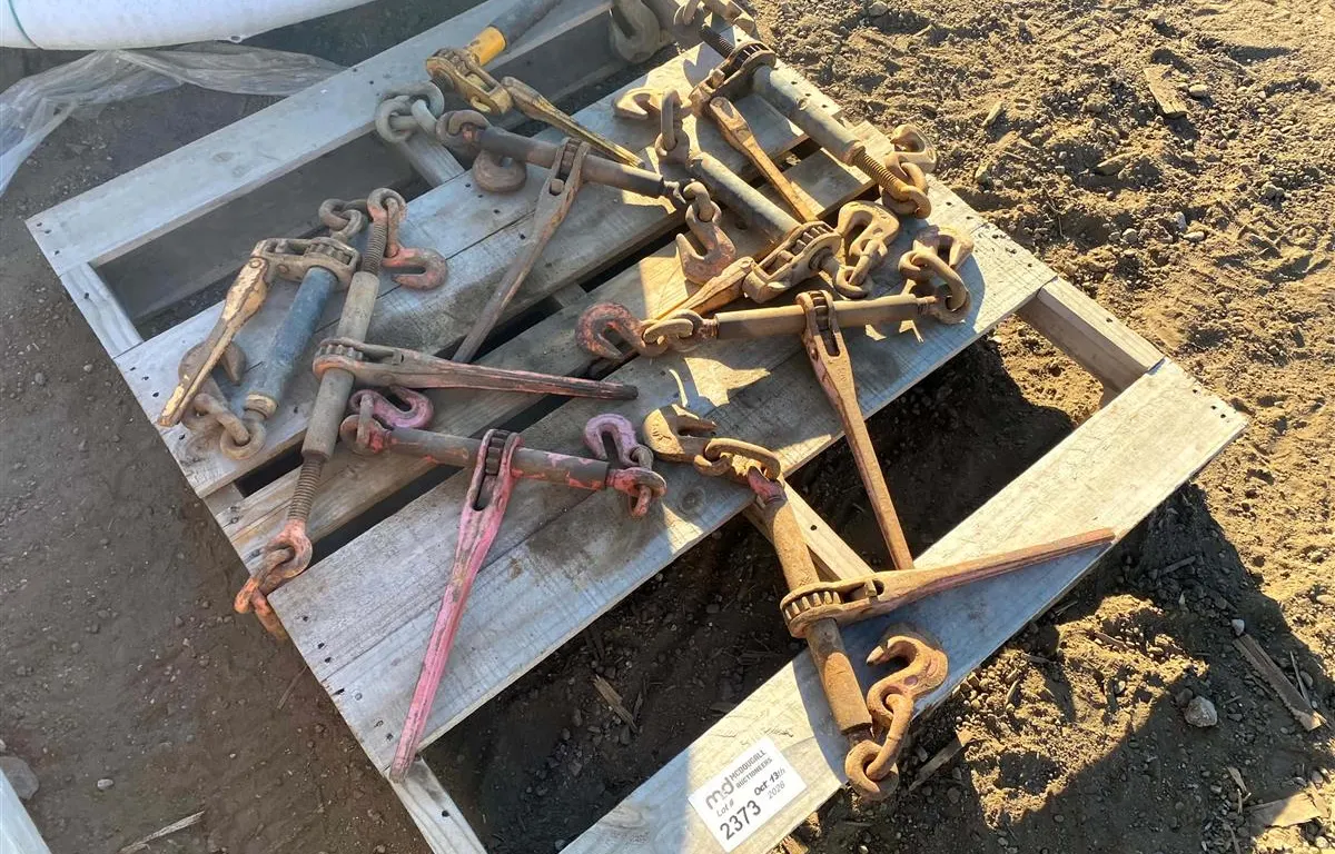Assorted Ratchet Chain Binders
UNRESERVED