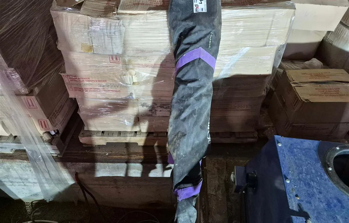 Volkl P10 Junior Skis with Leki Poles
UNRESERVED