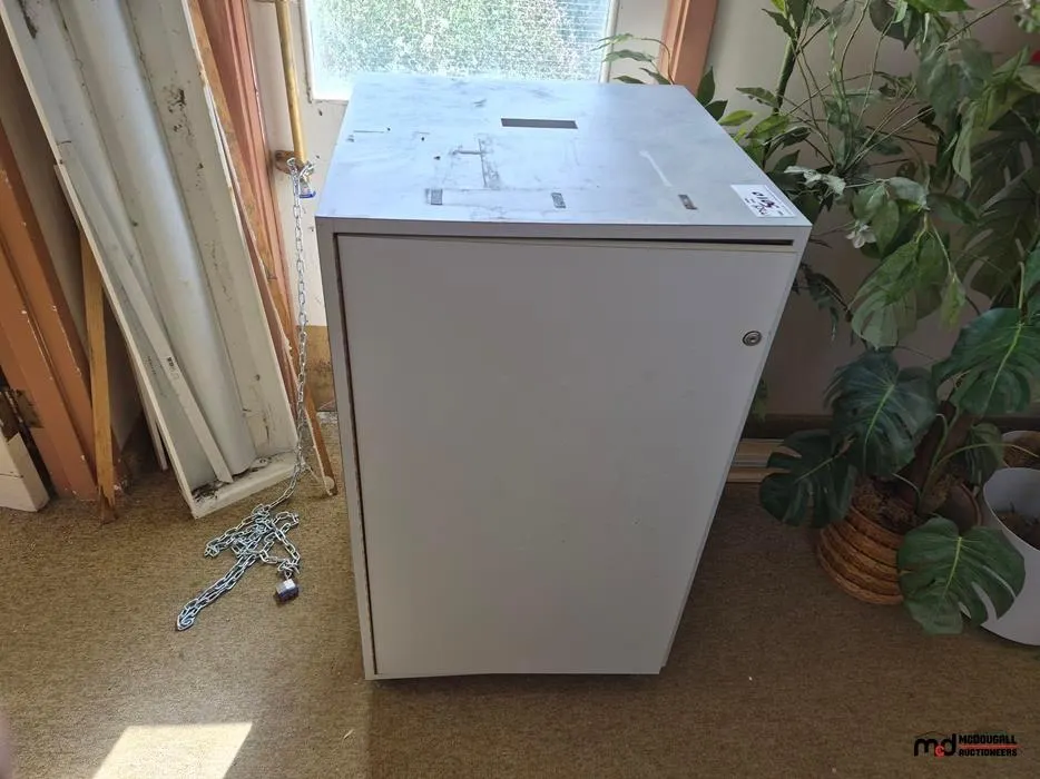 Metal Cabinet with Artificial Potted Plants
UNRESERVED