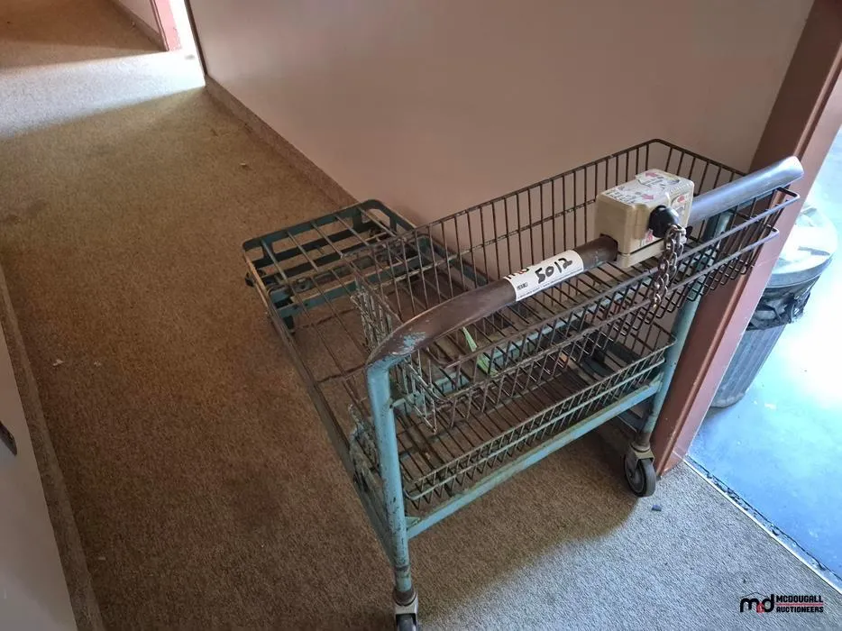 Commercial Wire Shopping Cart with Coin Lock
UNRESERVED