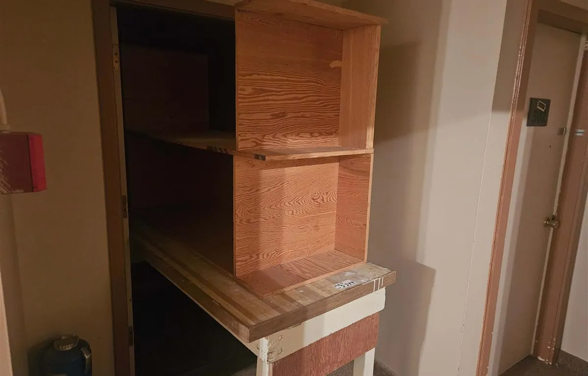 Custom Plywood Storage Cabinet Set
UNRESERVED