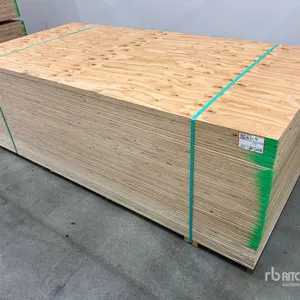 Quantity of (50) 5/8 in 4x8 CSP/DFP No Stamp Plywood (Unused)