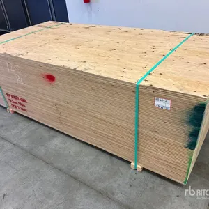 Quantity of (60) 1/2 in 4x8 CSP/DFP No Stamp Plywood (Unused)