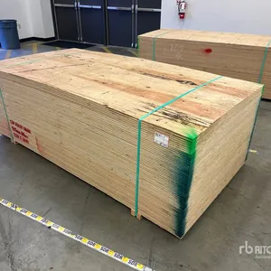 Quantity of (60) 4 ft x 8 ft (12.5 mm Thick) 1/2 in 4x8 CSP/DFP No Stamp Plywood (Unused)