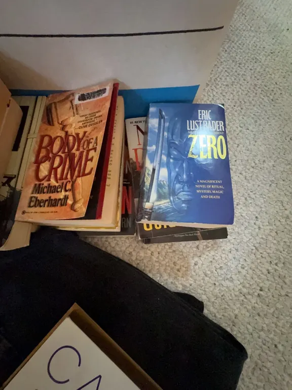 10 Assorted Thriller and Fiction Paperback Novels by Various Authors