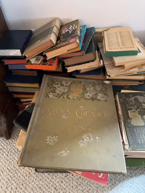Vintage and Modern Books Including Hurlbut, Seunig, Birds Of Western Canada