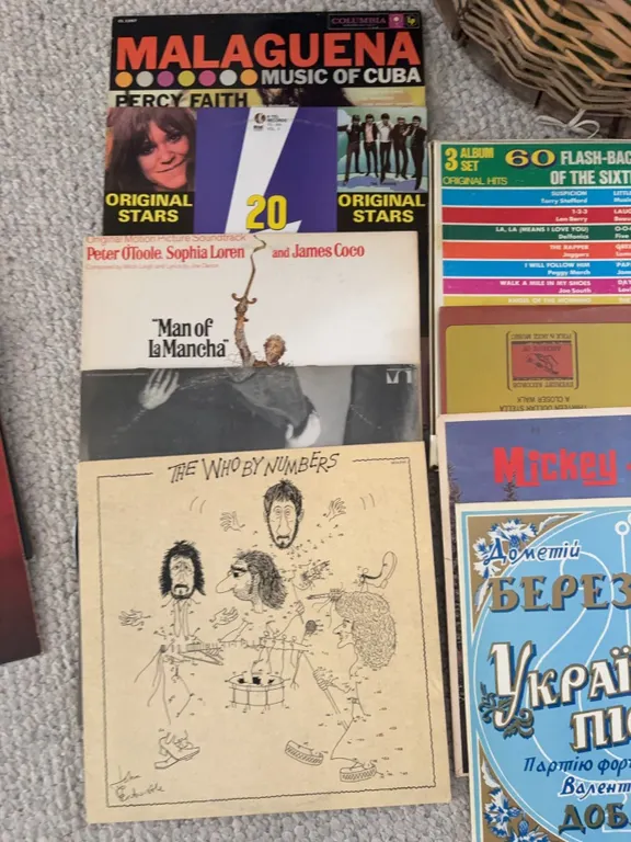 9 Vintage Vinyl Records Including The Who, Cuban, Musical, and International Artists