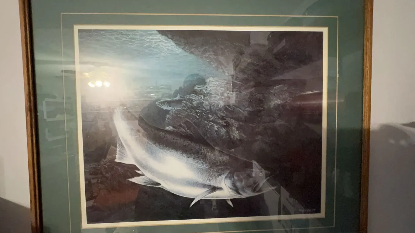 Takashi Snoj 1987 Framed Print, Spring Salmon, Nanaimo Fishing Resorts Award