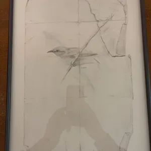J. Northey 2004 Pencil Drawing Bird on Paper, Framed, 12x16 in, Gallery on Main
