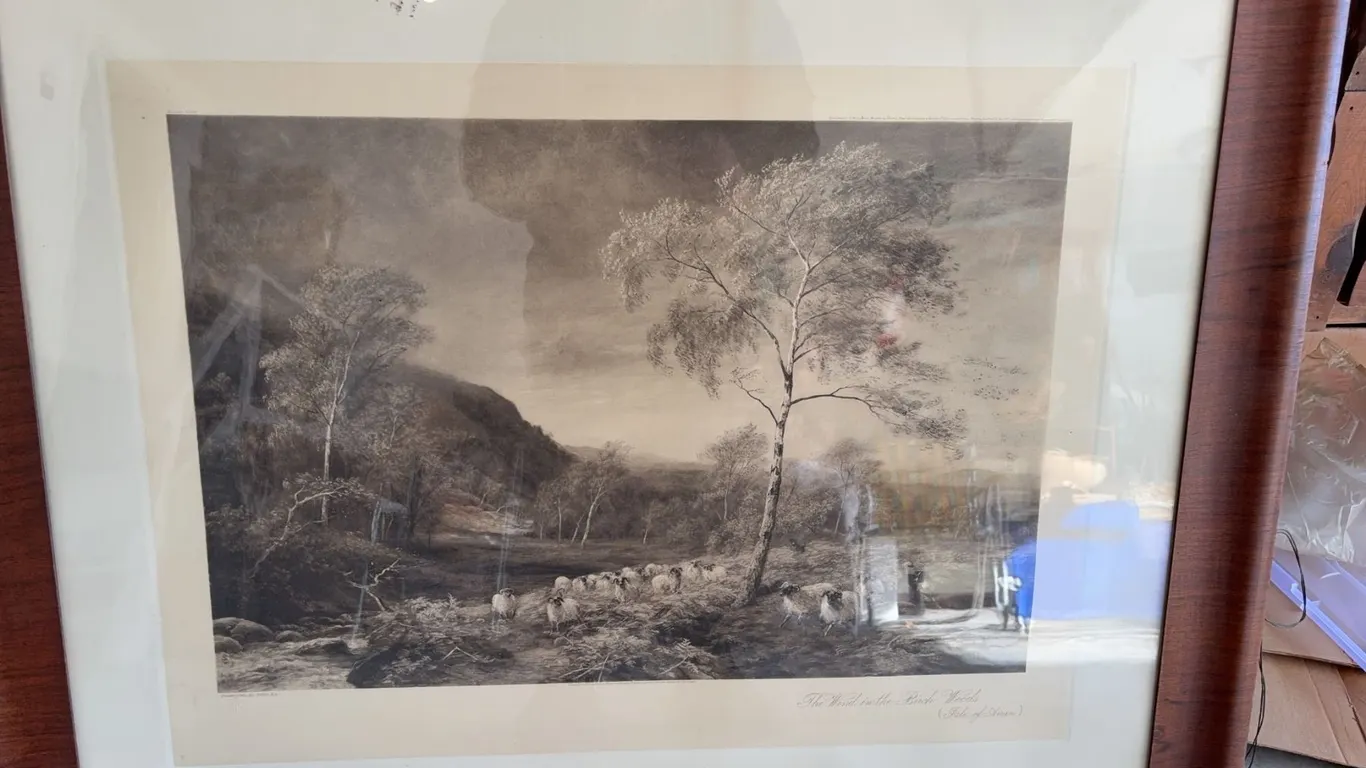 The Wind in the Birch Woods Isle of Arran Print Framed Signed by Artist MacWhir