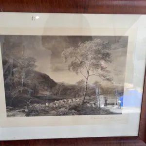 The Wind in the Birch Woods Isle of Arran Print Framed Signed by Artist MacWhir