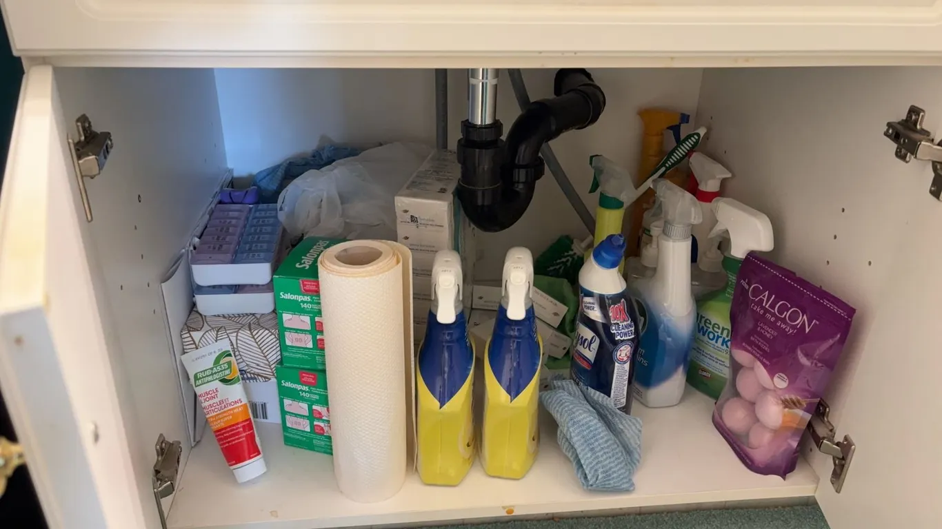 Household Cleaning Supplies, Personal Care, and Assorted Medications