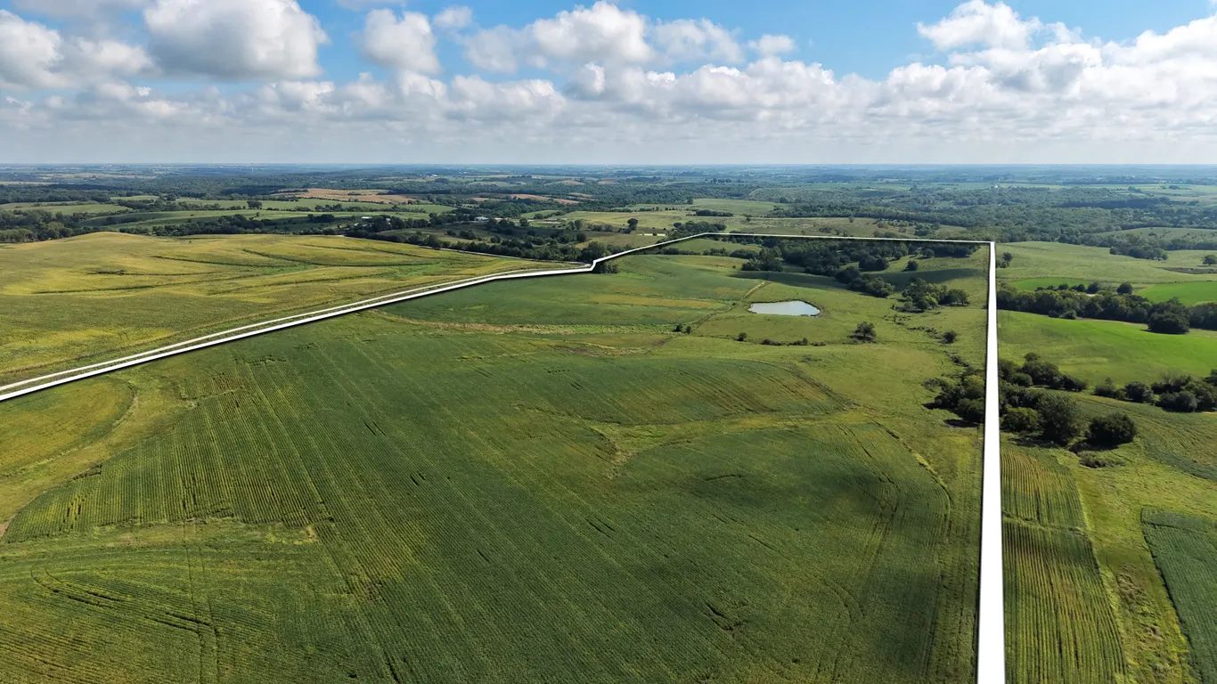 Clarke County 116.97 +/- Acres