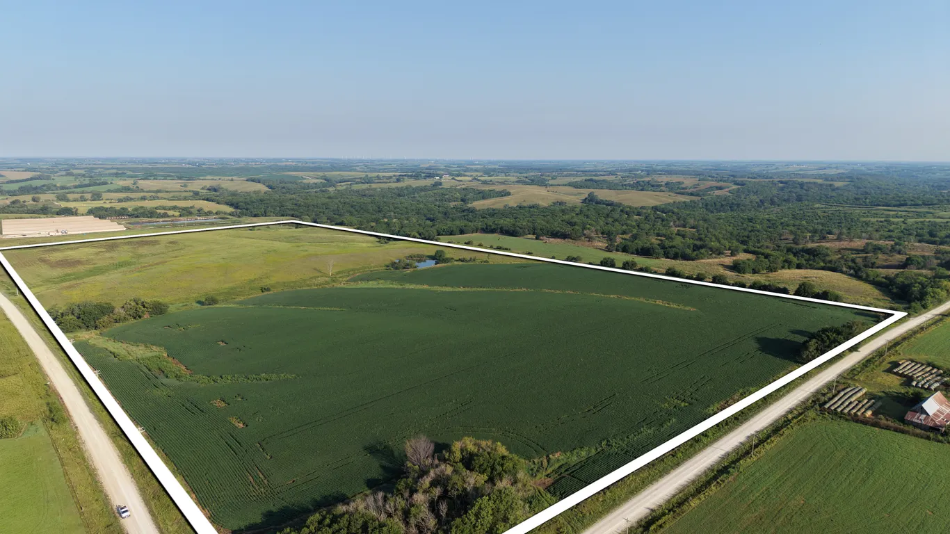 Clarke County 75.12 +/- Acres