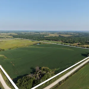 Clarke County 75.12 +/- Acres