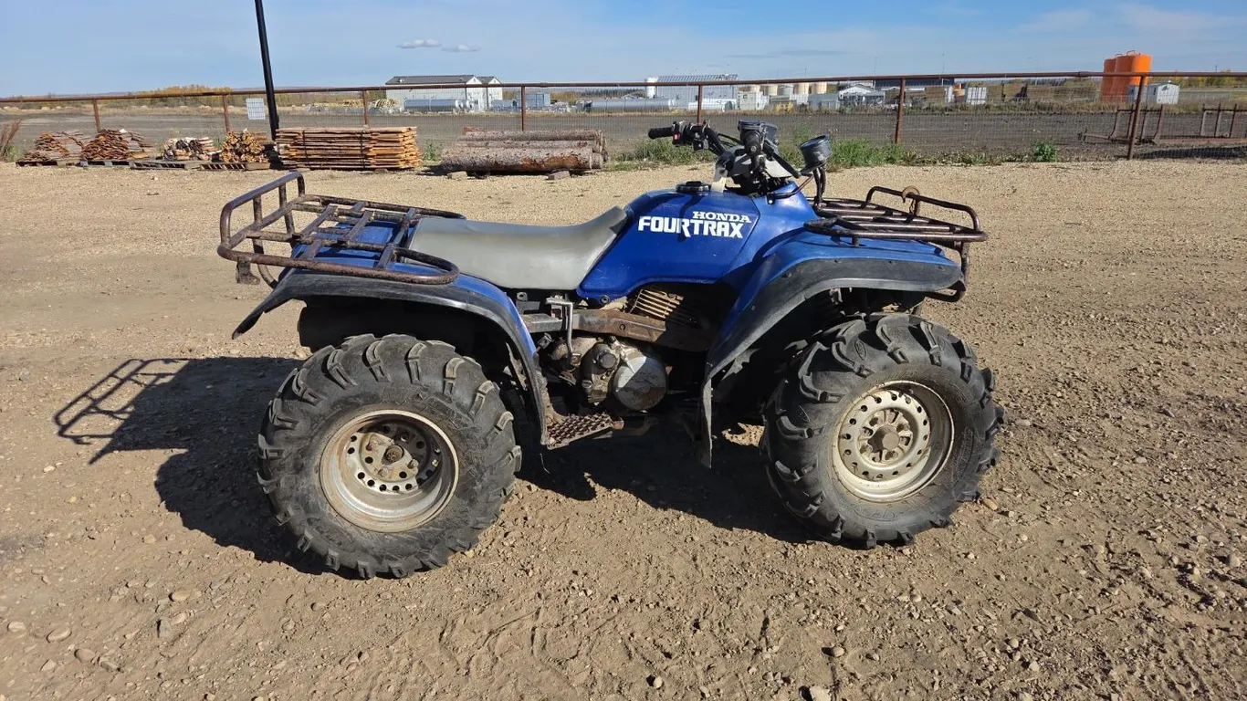 1993 Honda TRX300 Quad