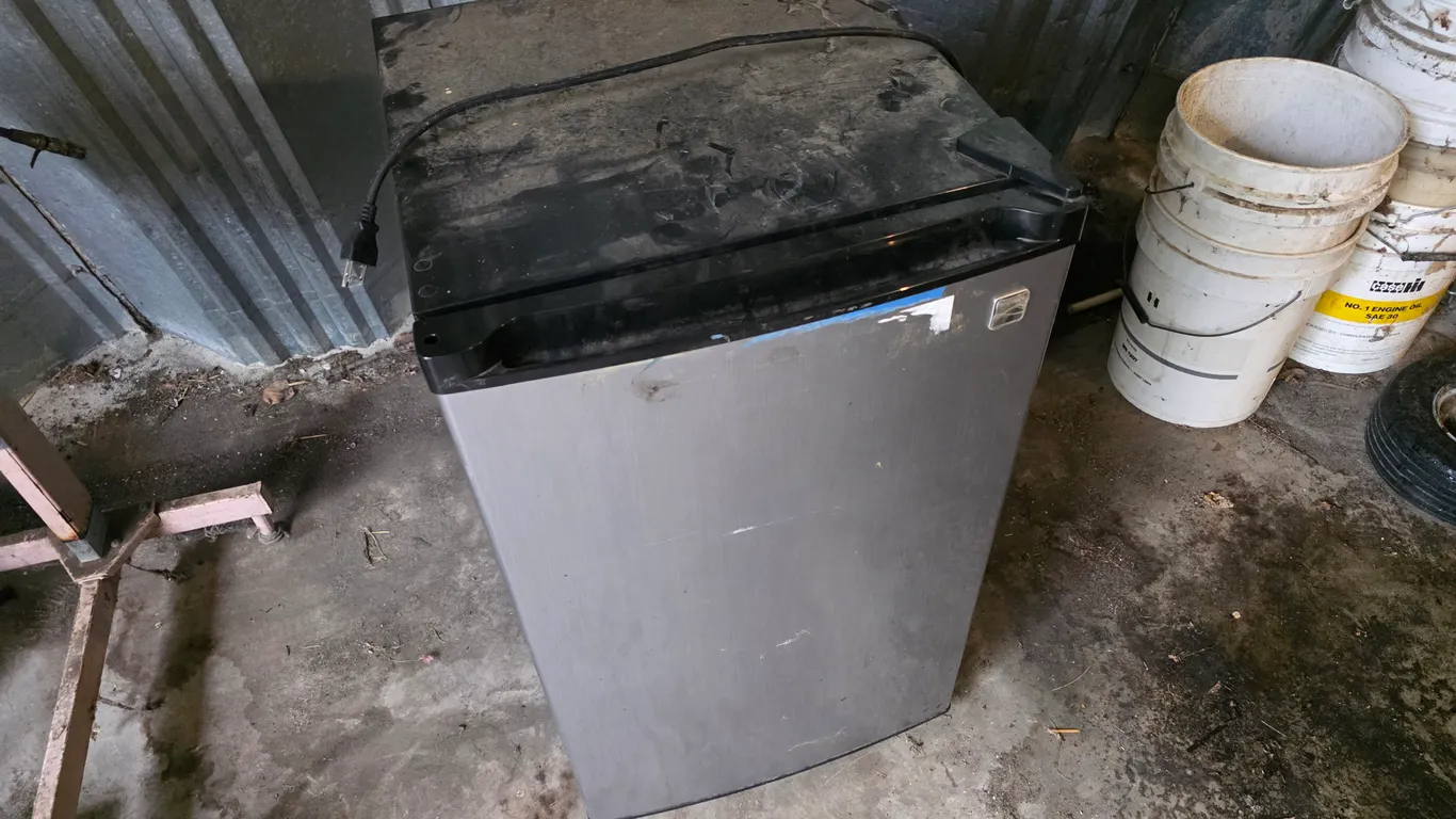 Kenmore Dorm Fridge