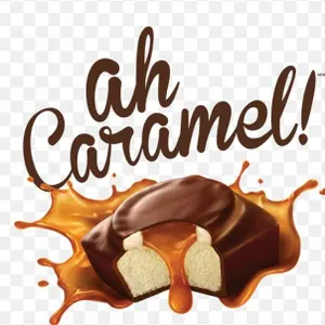 Vachon Ah Caramel Macchiato Cakes 2x12ct Boxes