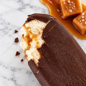 So Delicious Salted Caramel Bar 4x68mL - Case of 6
