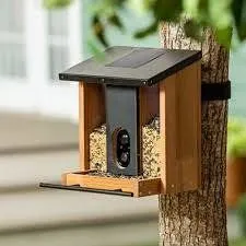Evergreen Solar Camera Bird Feeder