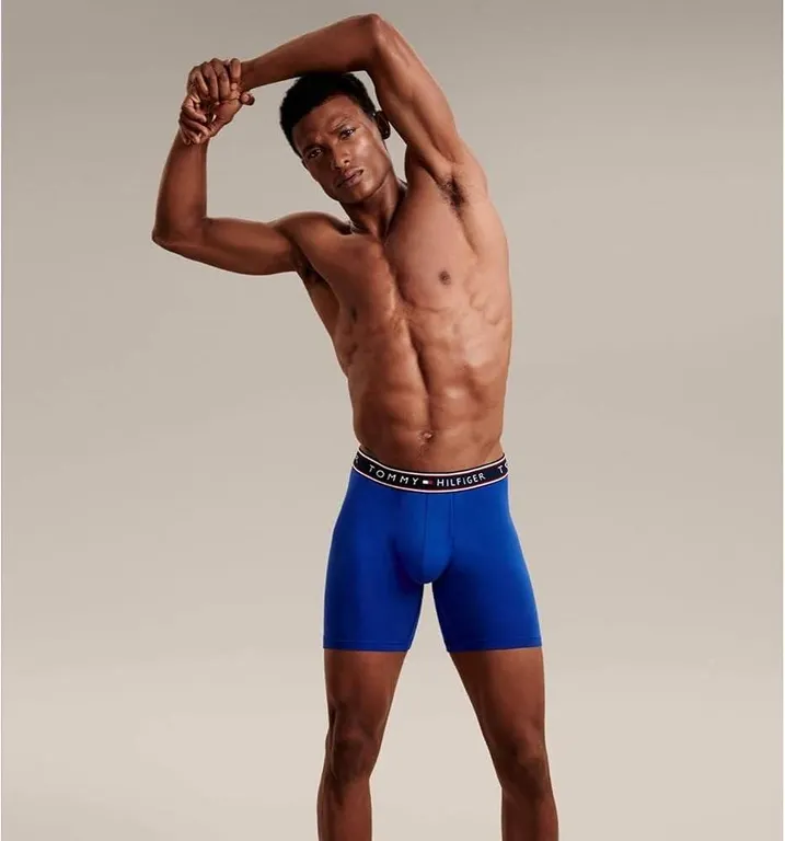 Tommy Hilfiger 4-Pack Boxer Briefs XL