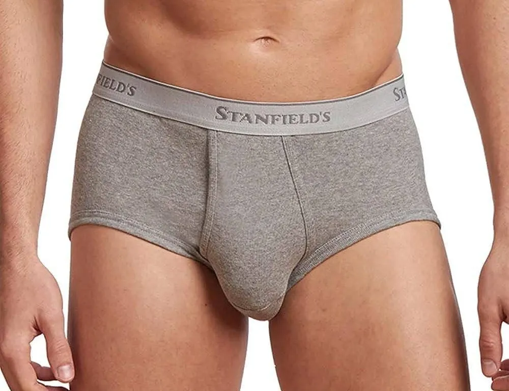 Stanfield's 6-Pack Classic Cotton Briefs M/M