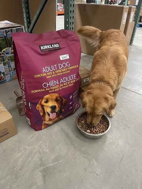 Adult Dog Food Chicken Rice Vegetable 40 lb
