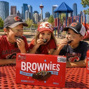 Vachon Brownies Mega 9-Pack 963g