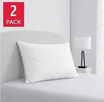 Kate Spade Queen Grand Bed Pillows 2 Pack