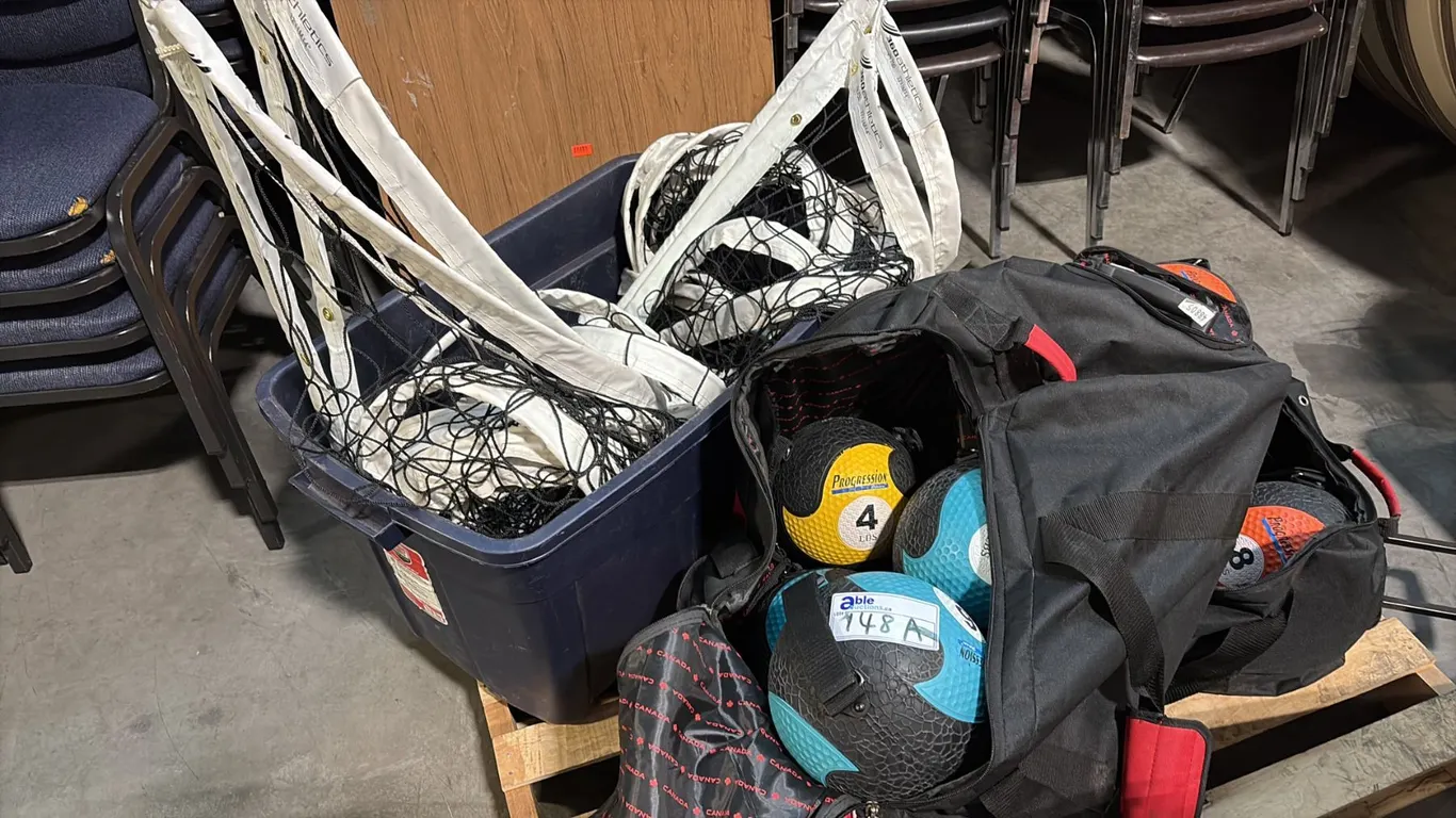 360 ATHLETICS VN750 OLYMPIC VOLLEYBALL NET AND ASSORTED WEIGHTS MEDICINE BALLS W/ HANDLE STRAPS