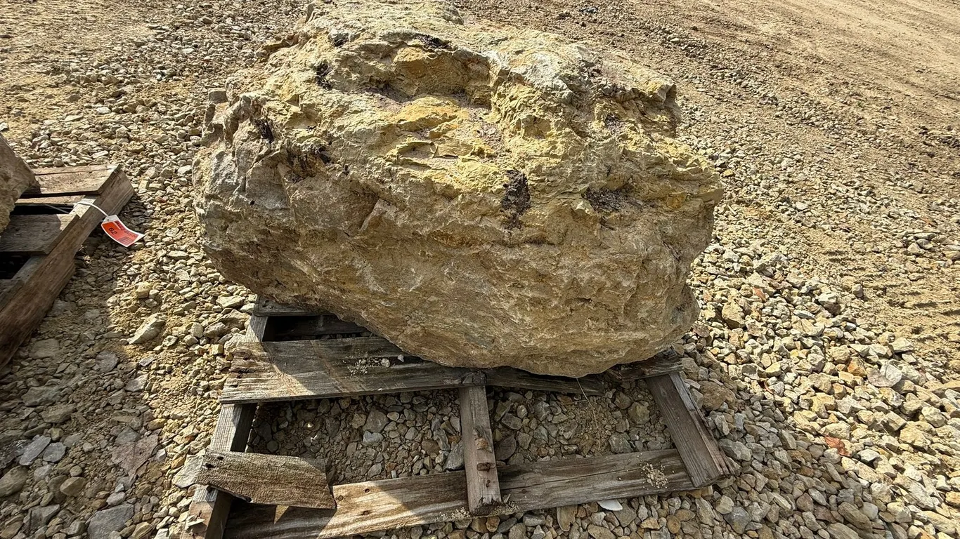 Limestone Boulder