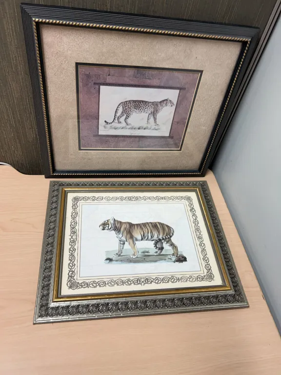 Framed Leopard and Tiger Engravings After Werner