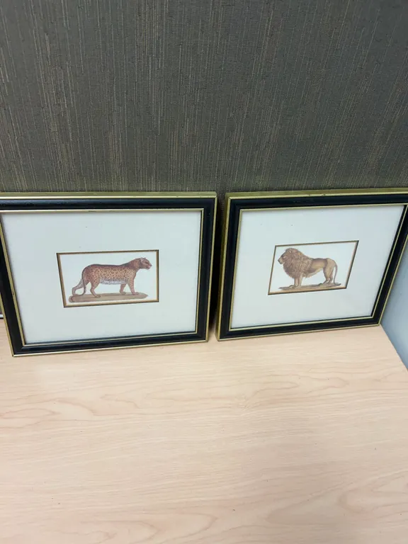 Framed Animal Prints: Lion and Leopard