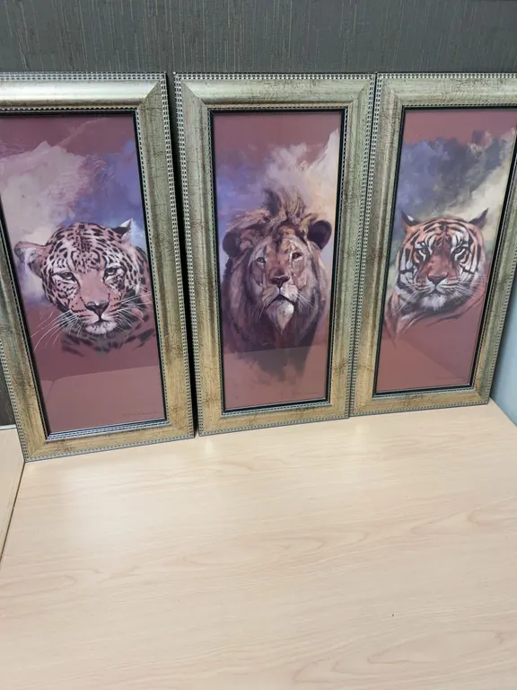 3 Stan Kaminski Framed Cat Panel Prints 8x20