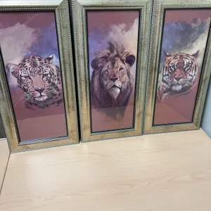 3 Stan Kaminski Framed Cat Panel Prints 8x20