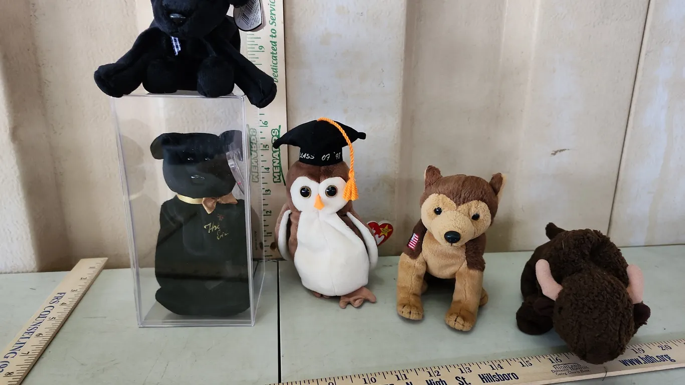 6 TY Beanie Babies & 1 Plastic Display Box, See Photos