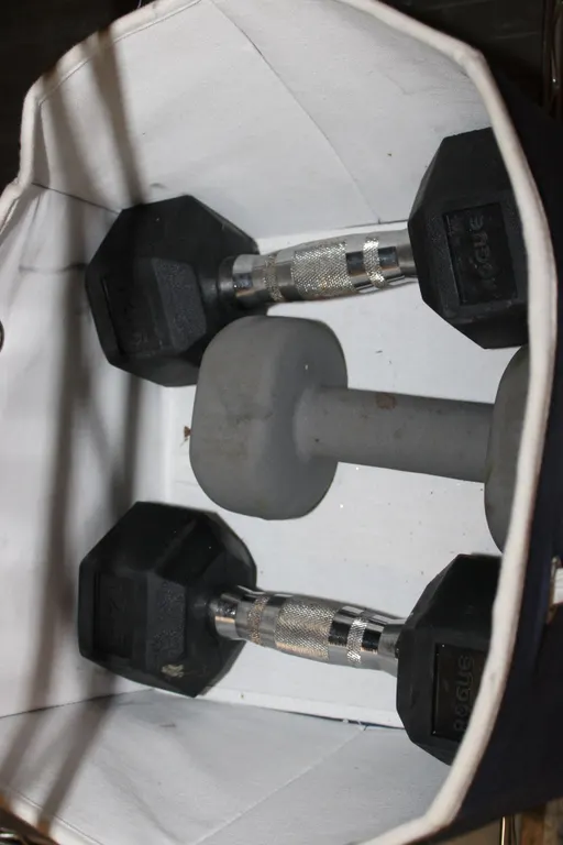 Rogue & Gaiam Dumbbells