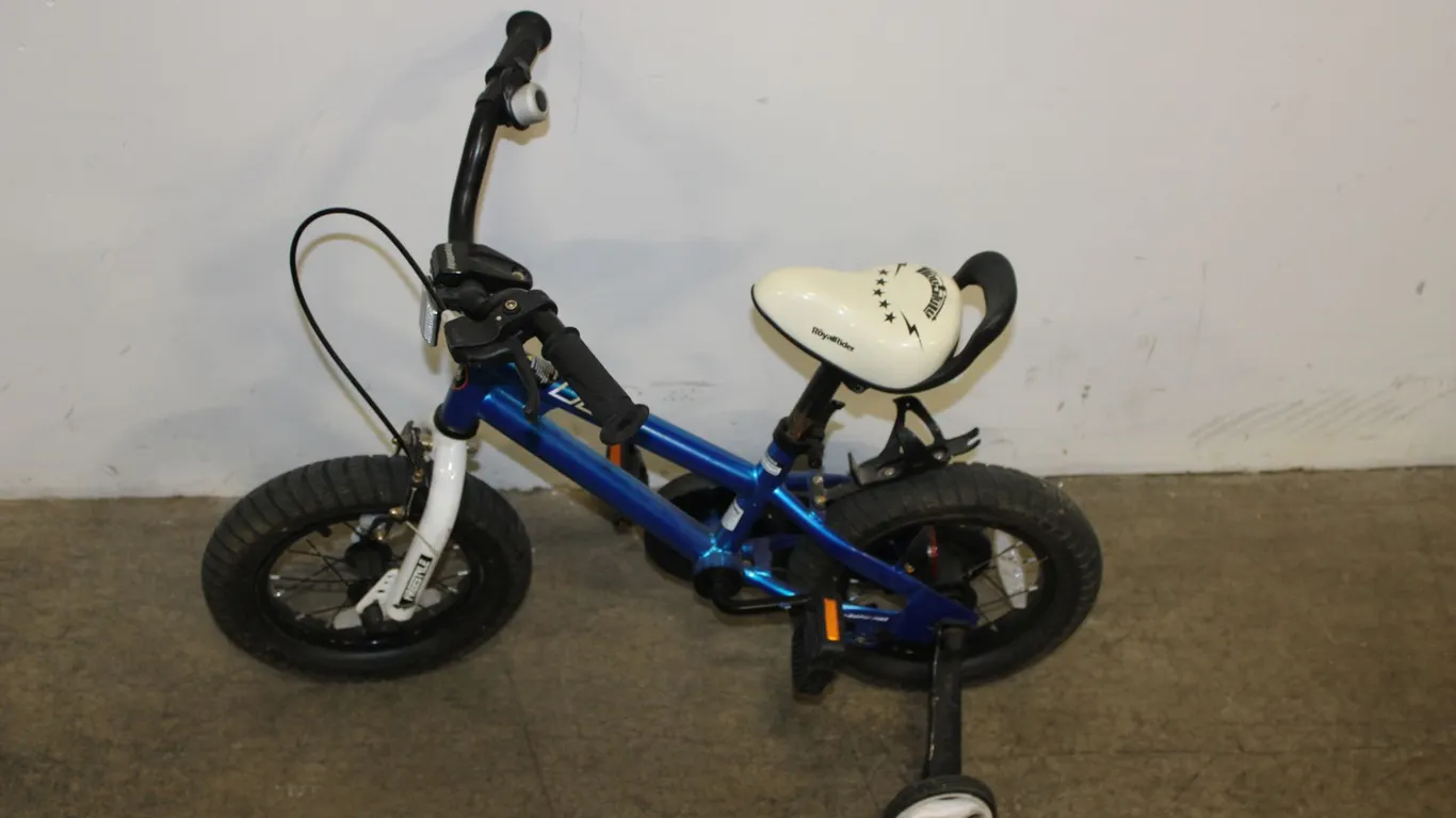 Royal Rider Child's Bicycle