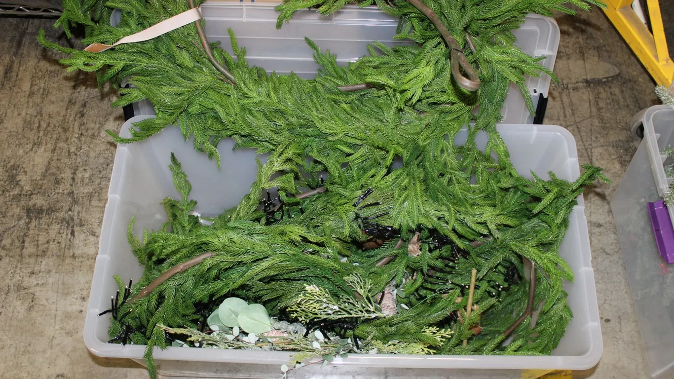 Christmas Greenery