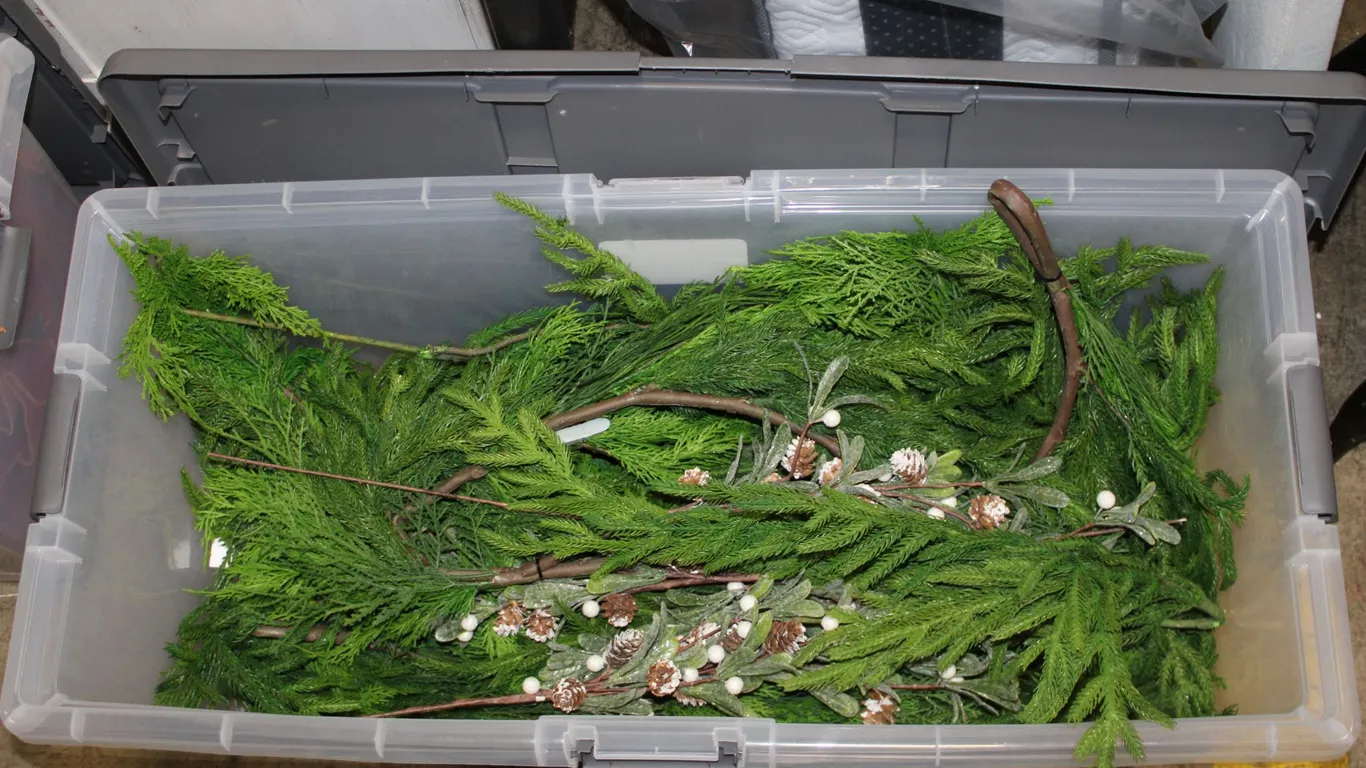 Christmas Greenery