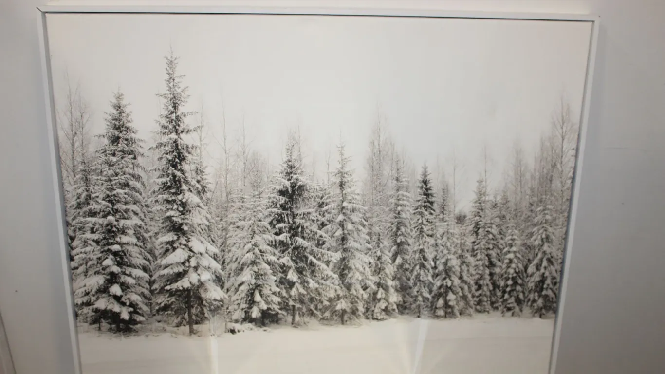 Winter Forest Wall Art