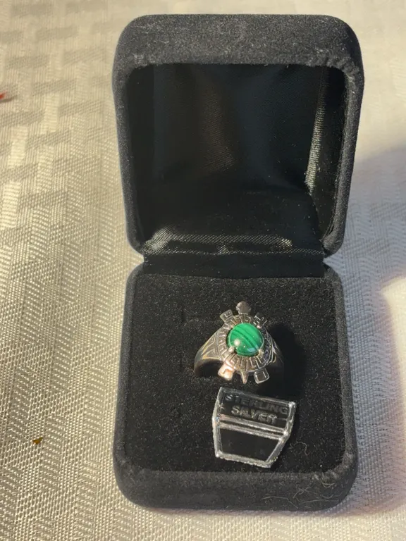 SW Sterling Turtle Ring