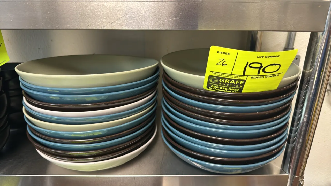 Ceramic dinner bowls. Features assorted colors including green, blue, brown, and off-white. 9" Dia.