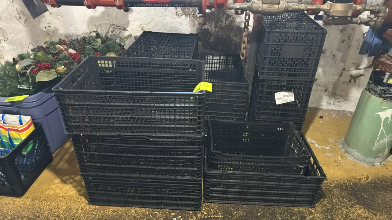 Assorted poly totes. Features black molded plastic construction with ventilated grid pattern and stackable design. Assorted sizes. Background items no