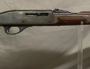 Remington Nylon 66 .22 cal. semi-automatic rifle.