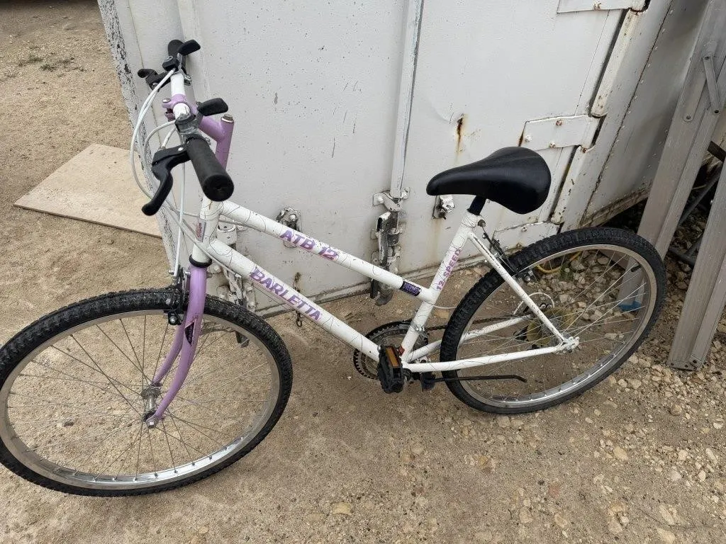Barletta ATB 12 12-Speed Mountain Bike