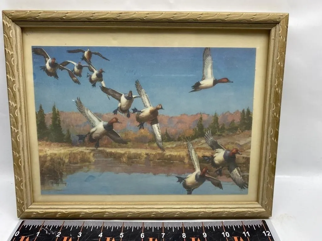 Framed duck print