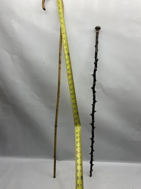Bamboo Cane & Knobby Walking Stick, Set of 2