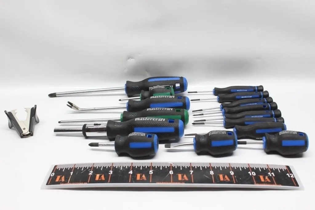 Mastercraft Screwdriver Set with Bag