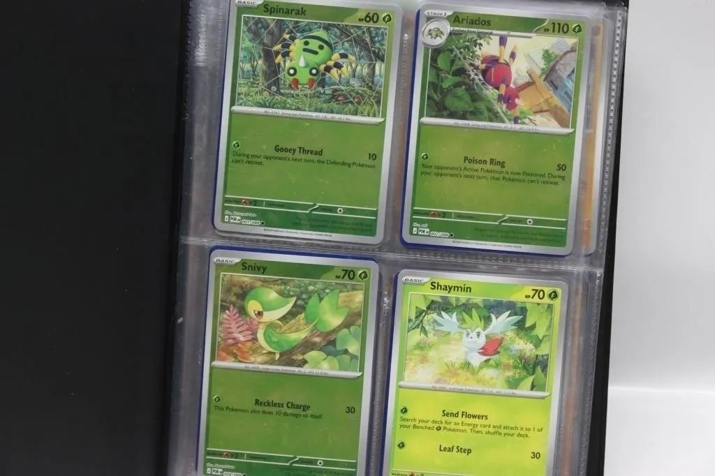 Pokémon TCG Card Binder Collection Lot
